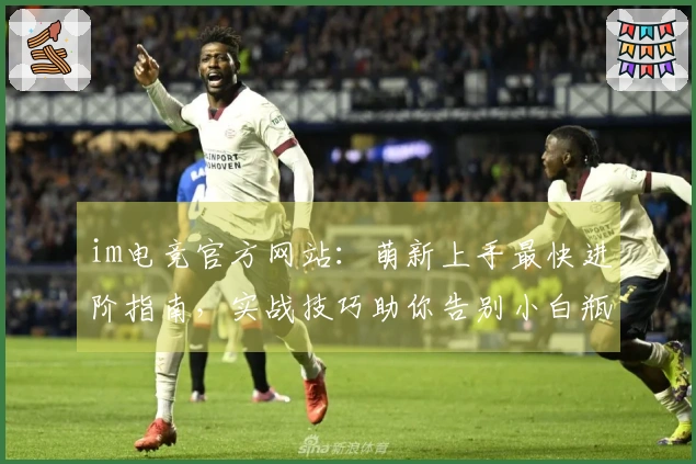 im电竞官方网站:萌新上手最快进阶指南,实战技巧助你告别小白瓶颈