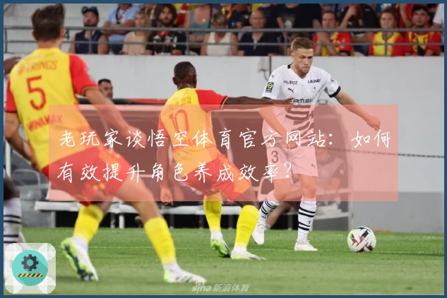 老玩家谈悟空体育官方网站：如何有效提升角色养成效率？