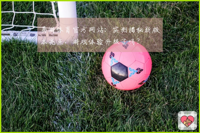 易游体育官方网站：实测揭秘新版本亮点，游戏体验升级了吗？
