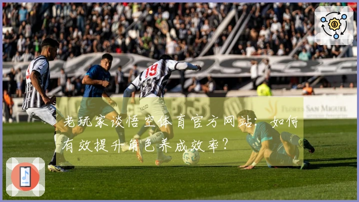 老玩家谈悟空体育官方网站：如何有效提升角色养成效率？